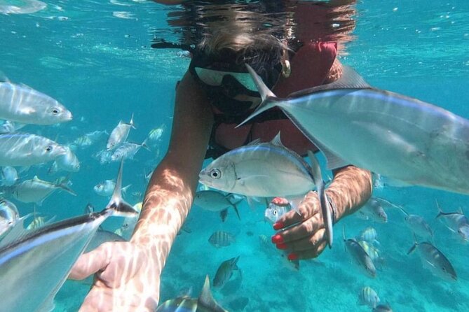 Speed Boat and Snorkeling in Punta Cana Bavaro - Guides and Captains: Names You’ll Hear and What That Signals