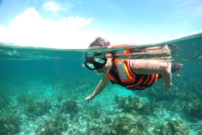 Speed boat aventure and snorkel - Photo Moments: How to Capture Blue Water and Jungle Green