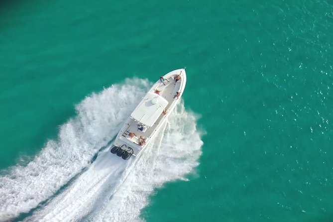 Speed Boat & Snorkeling Tour Pinel & Tintamarre Islands for CRUISE SHIP GUESTS - Creole Rock in Grand Case Bay: Best Snorkeling Stop for Fish and Coral