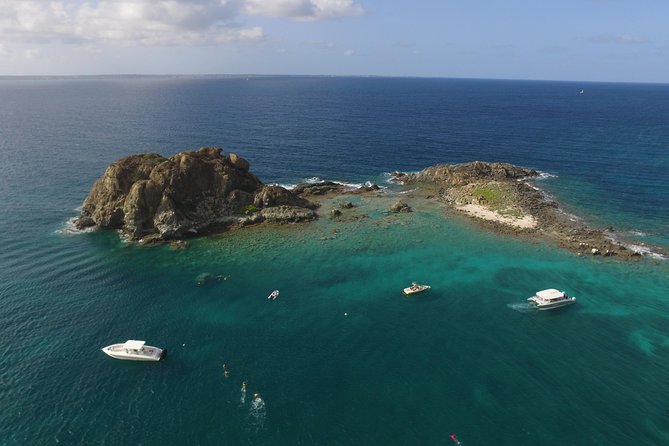 Speed Boat & Snorkeling Tour Pinel & Tintamarre Islands for CRUISE SHIP GUESTS - Pinel Island and Yellow Beach: Lunch Plus Real Beach Time