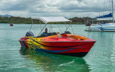 Speed boat to Ile aux Cerfs: Full day incl Lunch & Transfer - Ile aux Cerfs beach time: swimming, strolling, and simple freedom
