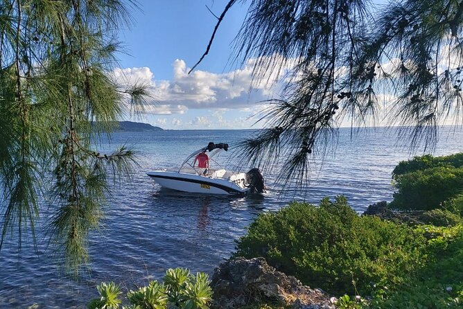 Speed Boat Tour île aux Cerfs and Others Gems of The South - Price and timing: what $81.30 buys you in real time