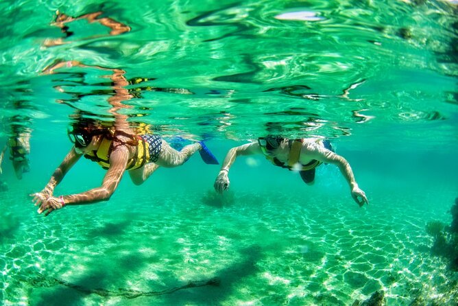 Speedboat across the Mangroves & Snorkel with Jet Ski Rental - The MUSA Experience: Why the Underwater Museum Works So Well