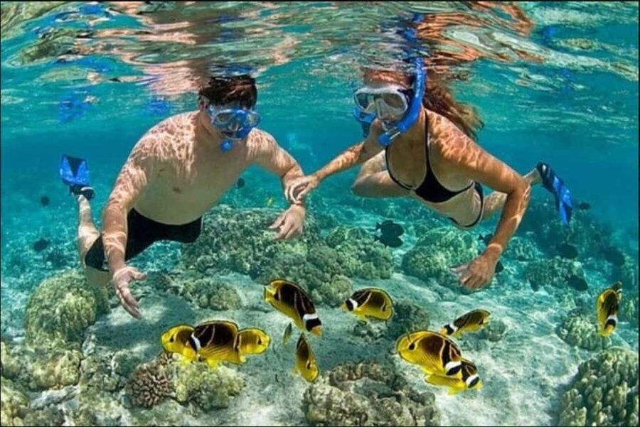 Speedboat Adventure and Snorkeling from Punta Cana - Key things to know before you go