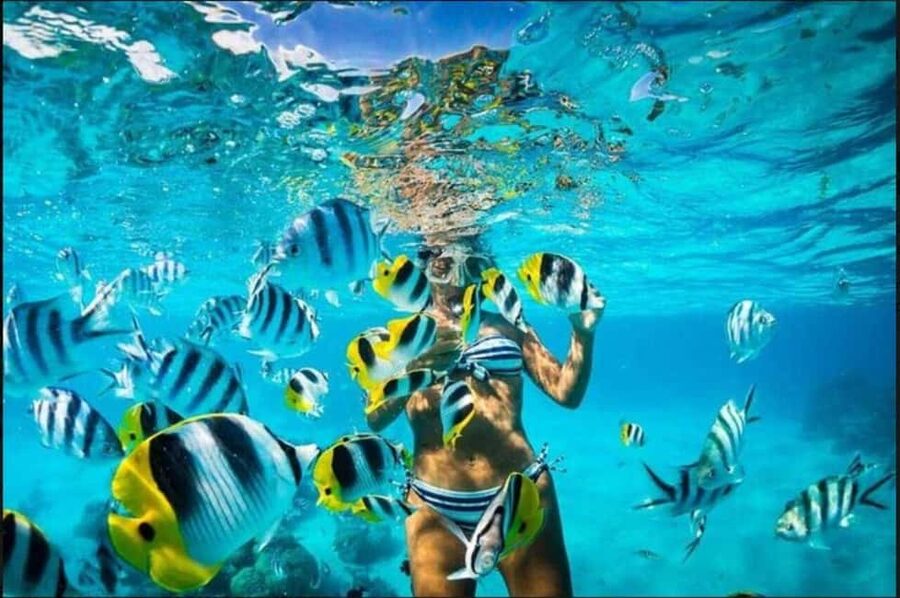 Speedboat Adventure and Snorkeling from Punta Cana - Sailing to the Natural Pool: The Sandbank Vibe
