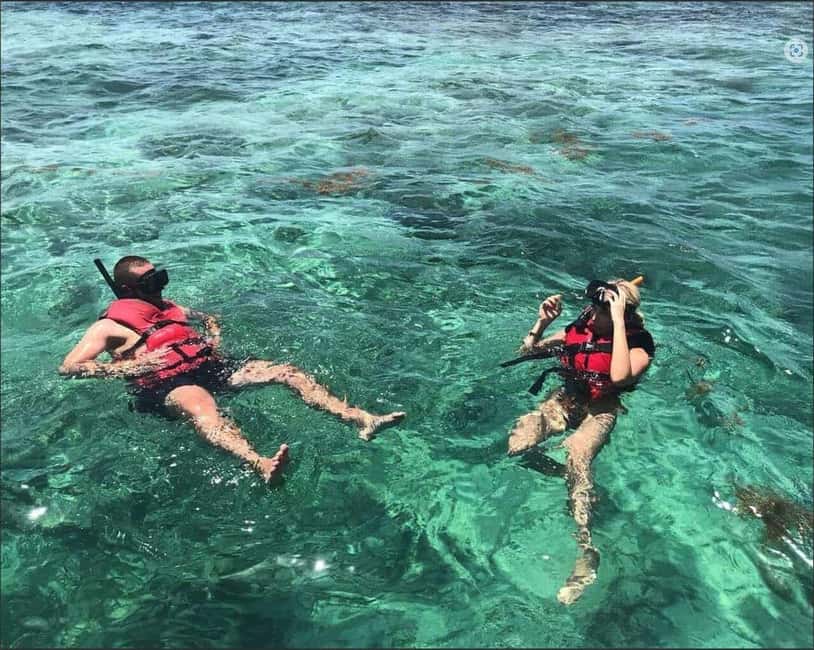 Speedboat Adventure and Snorkeling from Punta Cana - What’s Included (and What You Should Bring Anyway)