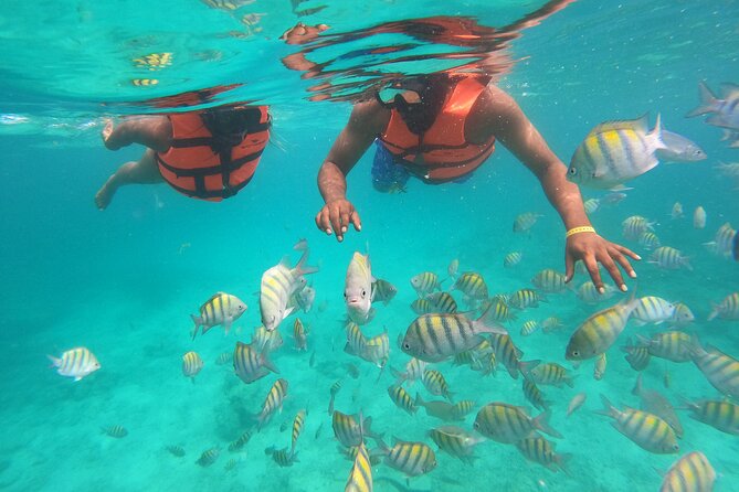 Speedboat Adventure to Snorkeling Spot and Natural Pool - Cruising Between Stops With a Guide Showing the Spots