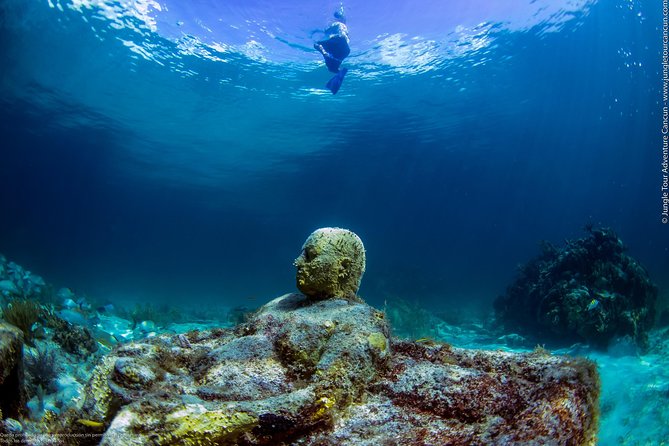 Speedboat and snorkel tour: Single Passenger Boat - Speedboat Time: How to Set Expectations for Comfort and Fun