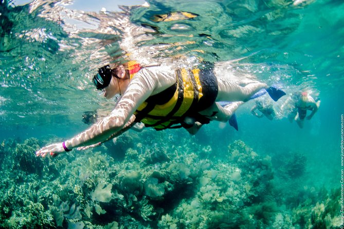 Speedboat and snorkel tour: Single Passenger Boat - Who This Speedboat and Snorkel Tour Is Best For