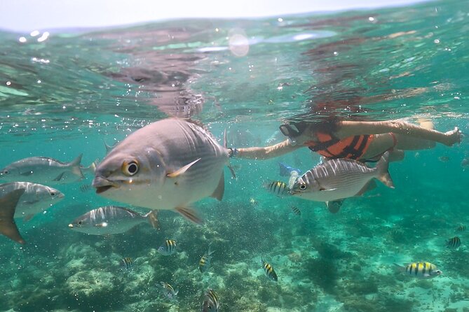 Speedboat and Snorkeling in Cancun with Mayan Ceremony & Tasting - A Mayan purification ceremony that sets the tone