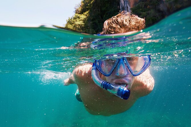 Speedboat Excursion: Thrilling Drive & Snorkel in Cancun Lagoon! - Snorkeling time in the lagoon: gear included, and that changes everything