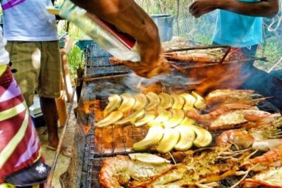 Speedboat Ile aux Cerfs + GRSE Waterfall, BBQ and Bar - Ile aux Cerfs: 2 hours to swim, relax, or choose watersports