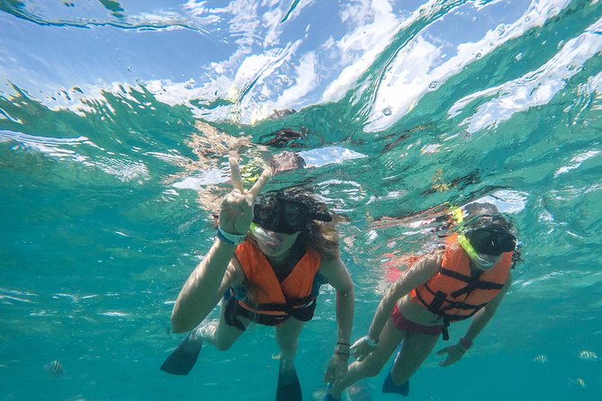 Speedboat jungle tour and snorkel - What to Bring: Gear, Comfort, and Swim-Safe Prep