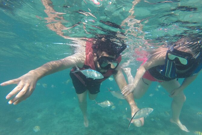 Speedboat Sailing with Snorkeling Experience in Punta Cana - Price and Value: Is $90 Worth It?