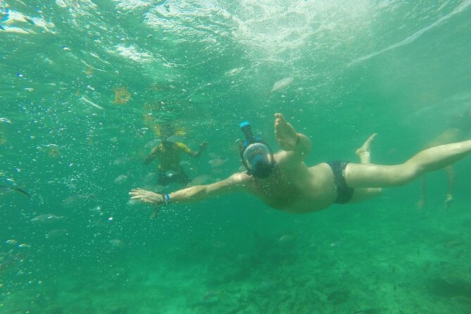 Speedboat Sailing with Snorkeling Experience in Punta Cana - Who Should Book This Speedboat and Snorkeling Tour