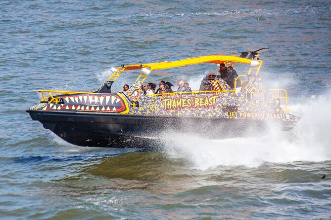 Speedboat 'THE THAMES BEAST' from Tower Millennium Pier - 40 mins - Back into the pier with a Shard view