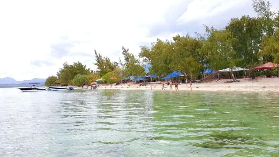 Speedboat to Ile aux Benitier: Dolphin Encounter & Lunch - Open-Ocean Dolphins in Tamarin Bay: The Part You’ll Remember