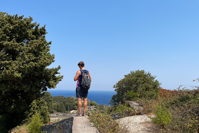 Speedboat to Sazan Island and Karaburun - Small Group Experience - Group Size, Guides, and the Service Details That Matter