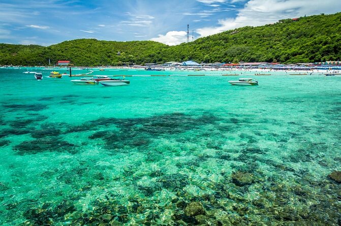 Speedboat Tour From Pattaya to Koh Larn Coral & Sak Island - Key Highlights Worth Your Attention