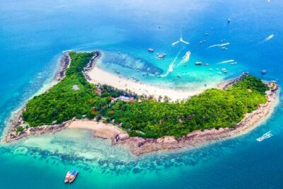 Speedboat Tour From Pattaya to Koh Larn Coral & Sak Island - Manta Marina Logistics: Pickup, Timing, and Group Size