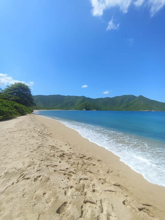 SPEEDBOAT TOUR TO TAYRONA CRISTAL BEACH - Key things to know before you go