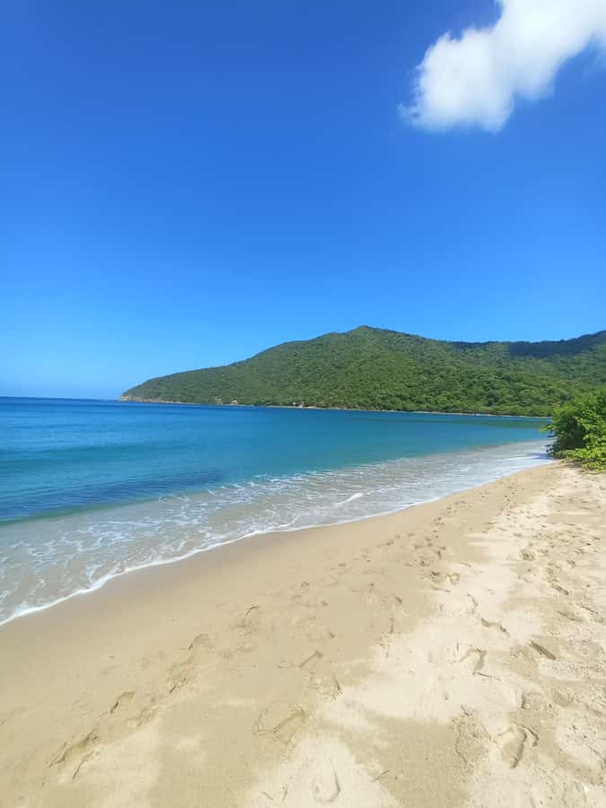 SPEEDBOAT TOUR TO TAYRONA CRISTAL BEACH - The core appeal: Tayrona’s Playa Cristal, fast and relaxed