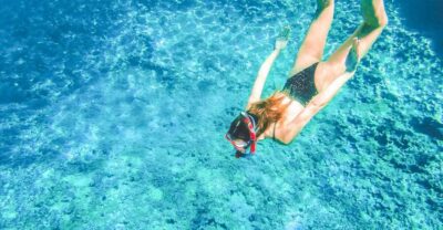 Split: Blue Lagoon and 3 Islands Speedboat Tour - Entering the pine shade at Borkko Beach Bar (Čiovo)