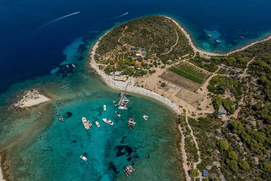Split or Trogir: Blue Cave, Vis, and Hvar Speedboat Day Trip - Pakleni Islands and Palmižana: Shade, Sand, and Short Island Hangs