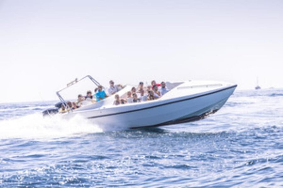 St Julians: Powerboat Gozo, Comino and Blue Lagoon - The Blue Lagoon Window: Swimming, Snorkeling, and When to Be Ready