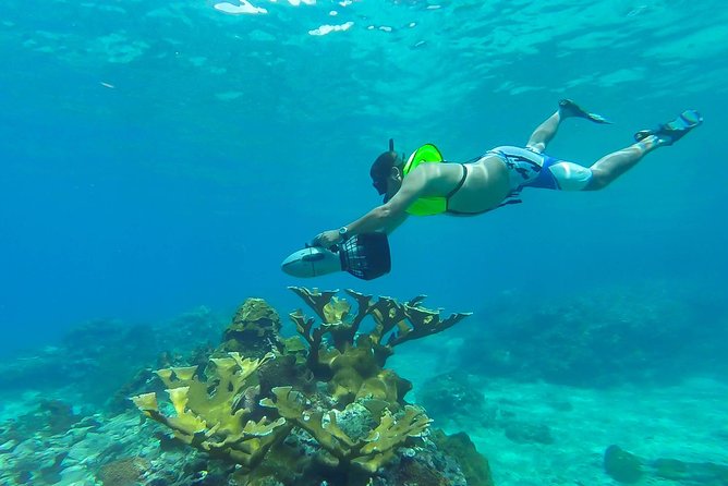 St. Lucia Speedboat and Power Snorkel From Castries - Key Highlights You’ll Feel the Most