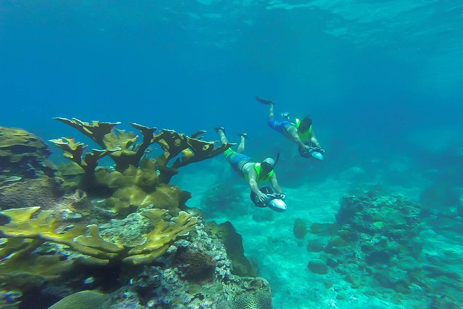 St. Lucia Speedboat and Power Snorkel From Castries - Why the Price Can Make Sense (and When It Might Not)