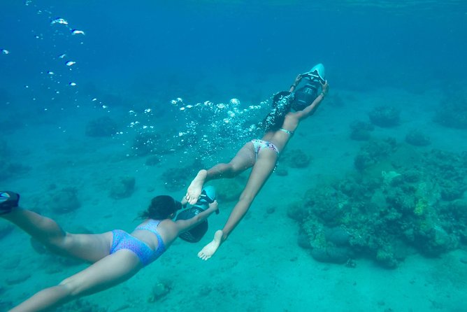 St. Lucia Speedboat and Power Snorkel From Castries - Tips to Make Your Half Day Go Smoothly