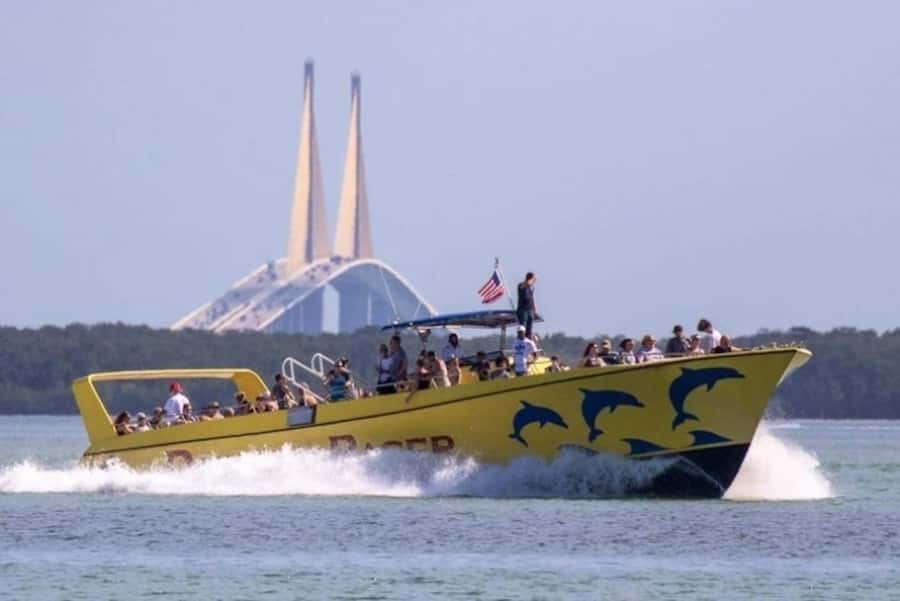 St. Pete Beach: Dolphin Racer Cruise by Speedboat - The Ride Itself: Why a 1.5–2 Hour Cruise Works
