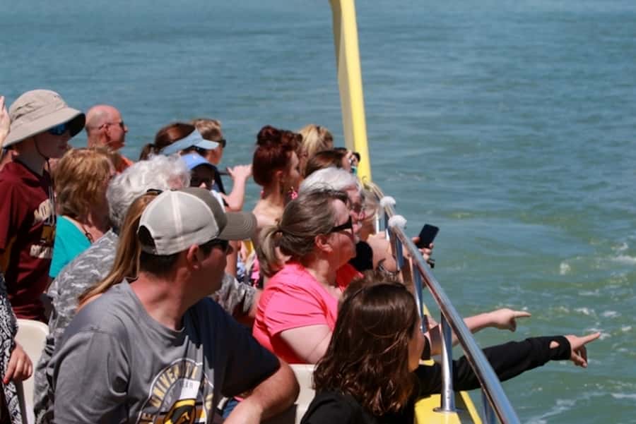 St. Pete Beach: Dolphin Racer Cruise by Speedboat - Who This Cruise Fits Best (And Who Should Skip It)