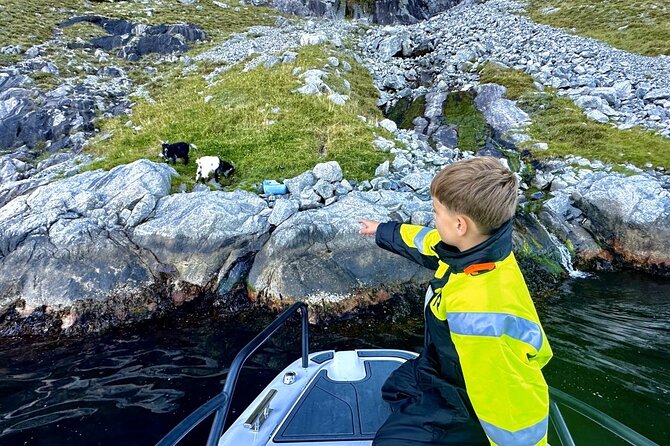 Stavanger: Guided Lysefjord Safari on Speedboat - Hengjanefossen waterfall (Whiskey Falls): the spray moment