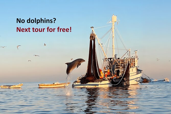 Sunrise Dolphins & Fishermen at Work speedboat tour in Rovinj - Key things to know before you go