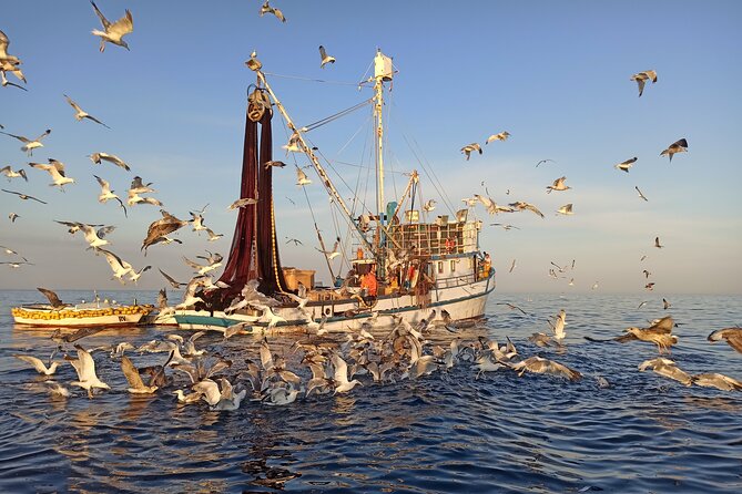 Sunrise Dolphins & Fishermen at Work speedboat tour in Rovinj - What to pack for a 4:30 AM start on open water