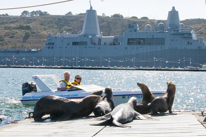 Super Saver: Self-Guided Speed Boat Adventure & iRide GPS Guided ScooterTour - Balboa Park and the San Diego Zoo frontage: why this part works