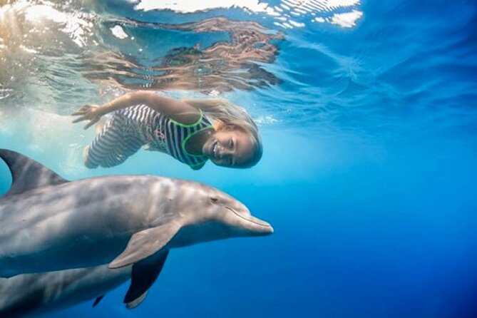 Swim With Dolphin By Semi PRIVATE Speedboat & Transfer - Hurghada - Price and Value: What $60 Really Buys You