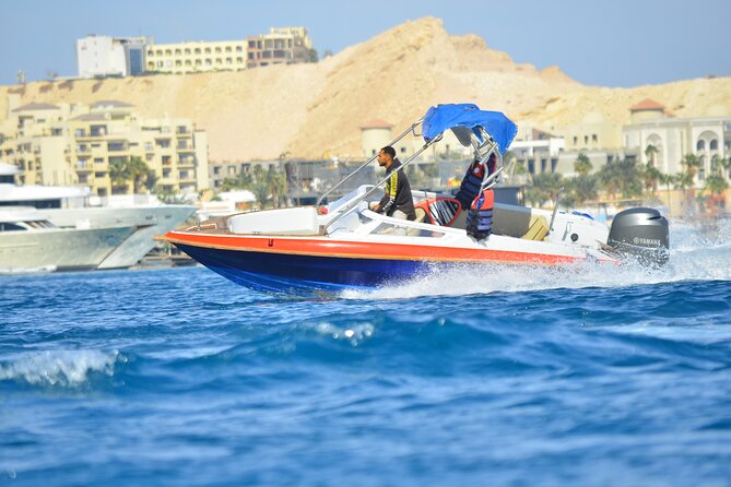Swim With Dolphin By Semi PRIVATE Speedboat & Transfer - Hurghada - Snorkeling Gear, a Safety-First Guide, and Responsible Practice