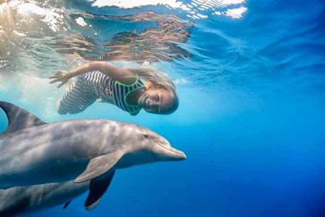 Swim with Dolphins Semi Private Speedboat Sea Tour - Hurghada - Hurghada’s Dolphin House: the half-day that actually feels like an adventure