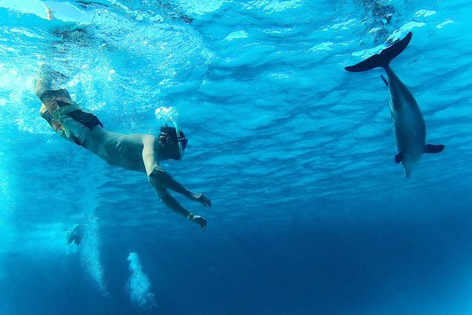 Swim with Dolphins Semi Private Speedboat Sea Tour - Hurghada - The crew experience: why names like Snoopy and Alaa come up so often