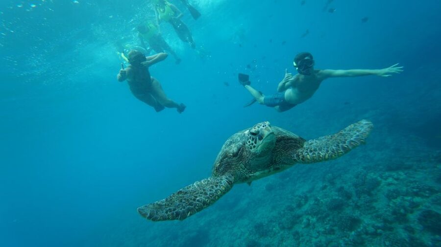 Swim with Wild Dolphins Oahu Speedboat Snorkeling Adventure! - Getting Out on the Dolphin Warrior From Oahu’s West Side