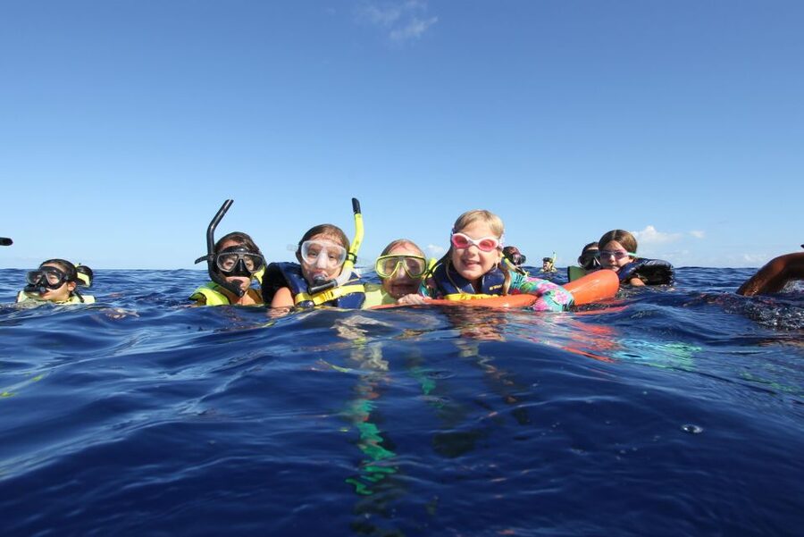 Swim with Wild Dolphins Oahu Speedboat Snorkeling Adventure! - How to Decide: Swim With Dolphins or Watch From the Boat