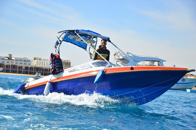 Swimming with Dolphins by Private Speed Boat - Hurghada - Hurghada Dolphin House: Why This Trip Works