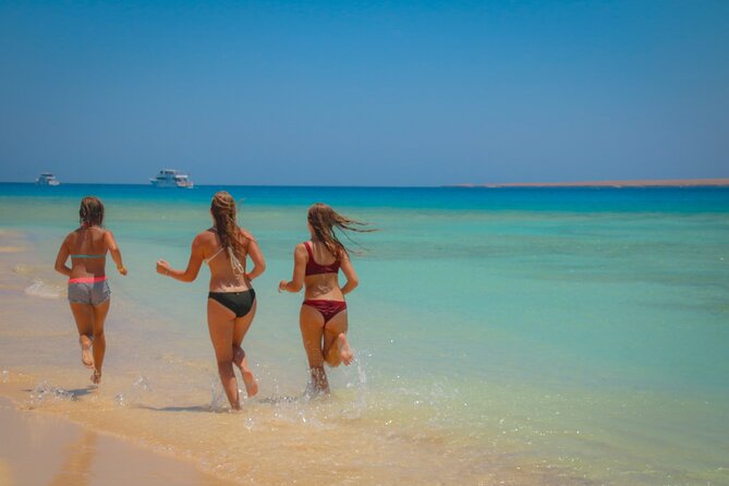 Swimming with Dolphins by Private Speed Boat - Hurghada - Price and Value: Is $65 Worth It?