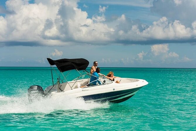 Swimming with Dolphins by Private Speed Boat - Hurghada - Timing and Practical Tips Before You Go