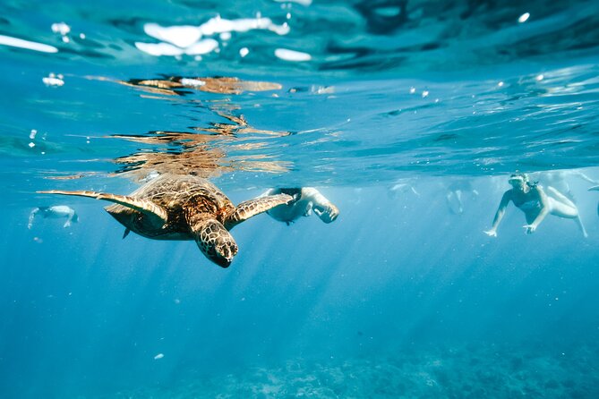Swimming with Wild Dolphins Speedboat Adventure on Oahu - What you get for $199: the value is in the included “extras”