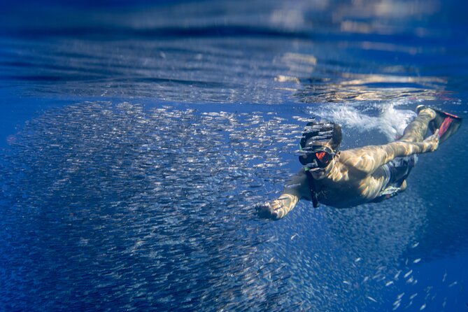 Swimming with Wild Dolphins Speedboat Adventure on Oahu - Crew care makes or breaks this kind of water day