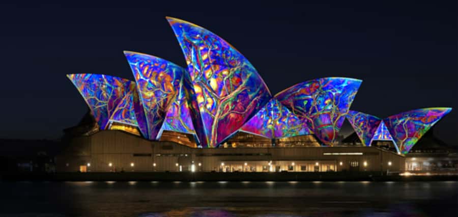 Sydney Harbour: 30 Minute Slow Jet Boat Vivid Cruise - Key highlights worth your attention
